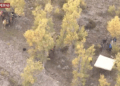 body found