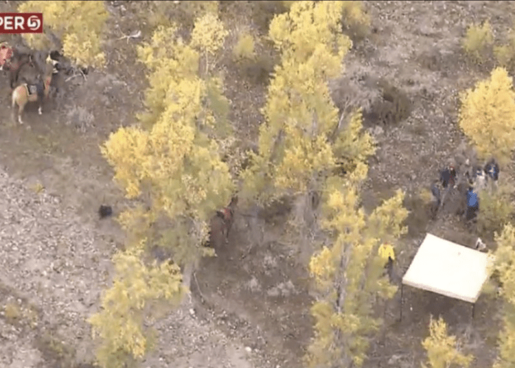 Body found in BridgerTeton National Forest believed to be Gabby Petito Law Officer