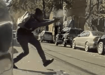 Bronx gunman