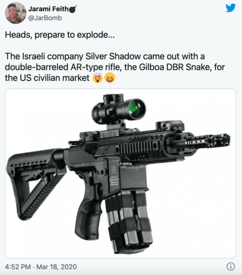Gilboa Snake