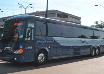 Greyhound