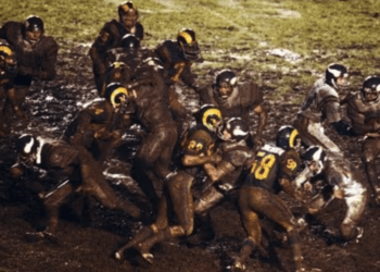 Pig Bowl
