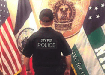 Neighborhood Safety Teams