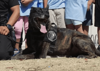 K9 Puskas