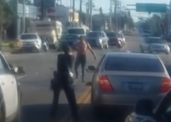 Heroic Police Work