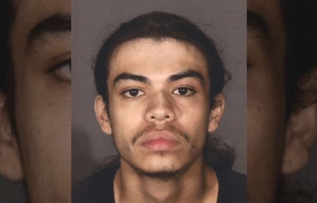Gerardo Magallanes, an 18-year-old San Pedro resident, was taken into custo...