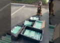 California K9