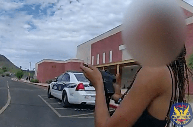 custody dispute