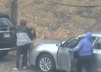 brazen daylight carjacking