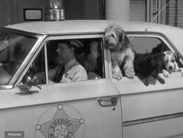 Andy Griffith Show