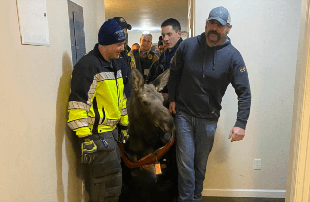 Alaska first responders