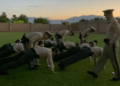 Las Vegas police