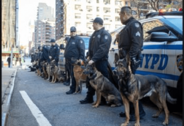 Police Canines