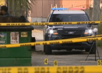 carjacking suspect