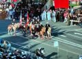 Rose Parade