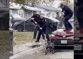 First responders