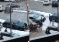 video captures