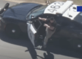 suspect dies