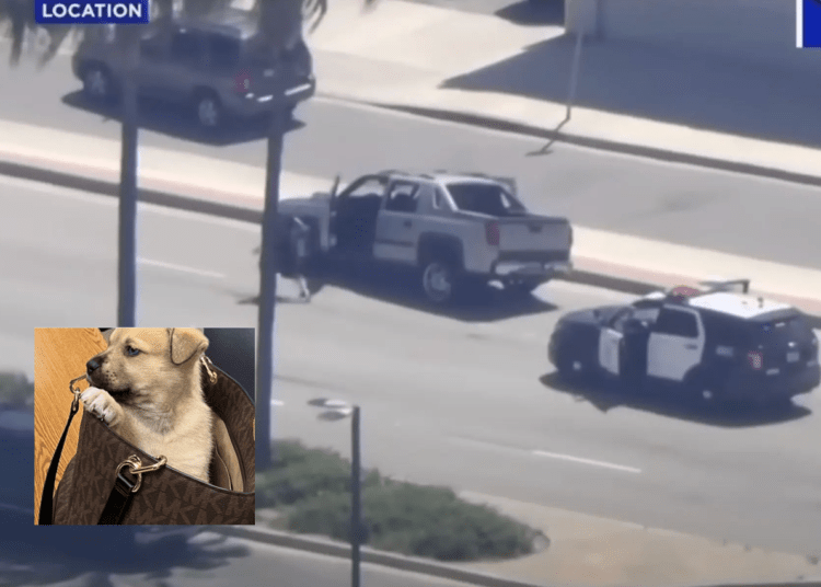 Los Angeles man