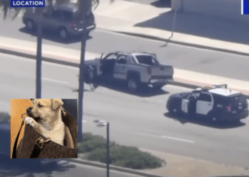 Los Angeles man