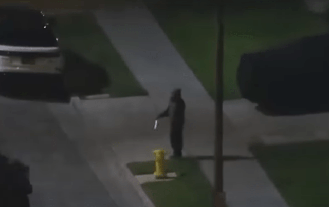 Knife-wielding man