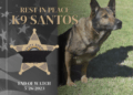 K9 Santos