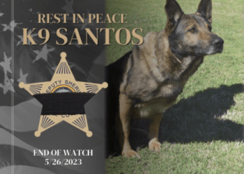 K9 Santos