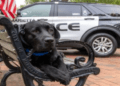 K9 Barney