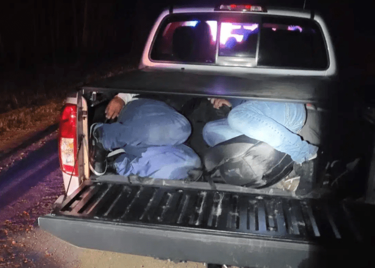 Illegal migrant encounters