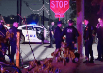 driver strikes 4 Dallas police officers